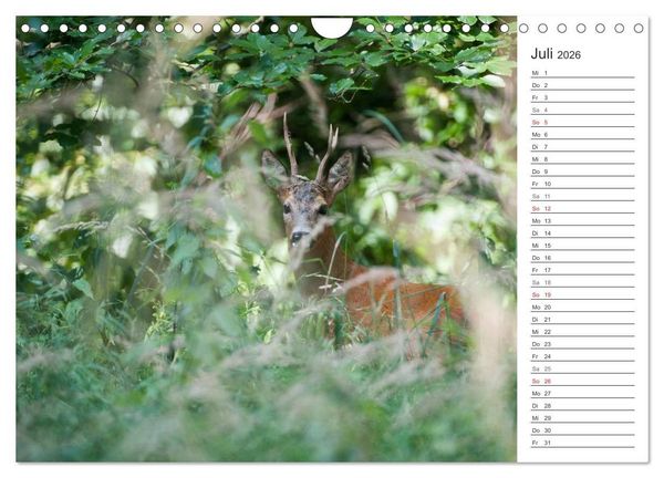 Produktbild: Emotionale Momente: Wild und Jagd. (Wandkalender 2026 DIN A4 quer), CALVENDO Monatskalender