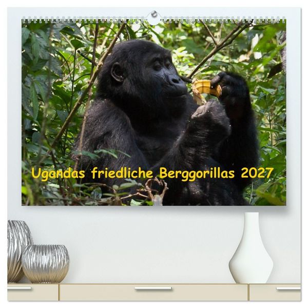 Produktbild: Ugandas friedliche Berggorillas (hochwertiger Premium Wandkalender 2027 DIN A2 quer), Kunstdruck in Hochglanz