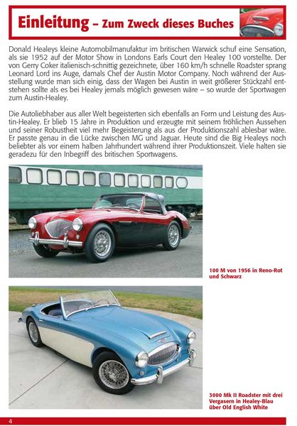 Praxisratgeber Klassikerkauf Austin Healey