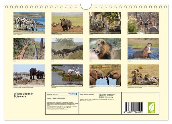 Produktbild: Wildes Leben in Botswana (Wandkalender 2026 DIN A4 quer), CALVENDO Monatskalender