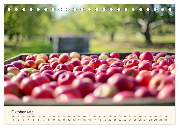 Produktbild: Die Jahreszeiten. Magie des Wandels (Tischkalender 2026 DIN A5 quer), CALVENDO Monatskalender