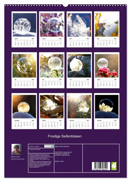 Produktbild: Frostige Seifenblasen (hochwertiger Premium Wandkalender 2026 DIN A2 hoch), Kunstdruck in Hochglanz
