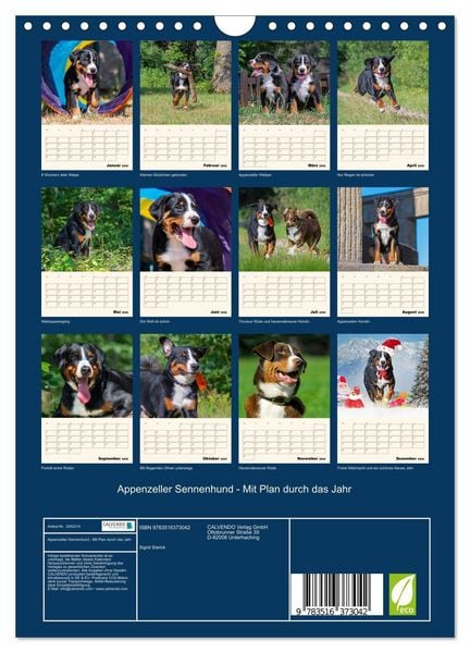 Produktbild: Appenzeller Sennenhund - Mit Plan durch das Jahr (Wandkalender 2026 DIN A4 hoch), CALVENDO Monatskalender