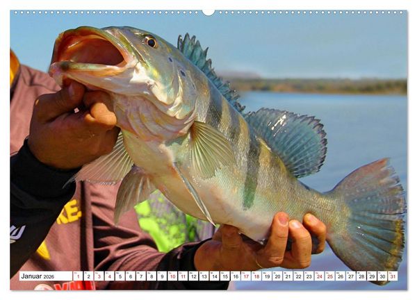 Produktbild: Anglergl&uuml;ck - den Fisch am Haken (Wandkalender 2026 DIN A2 quer), CALVENDO Monatskalender