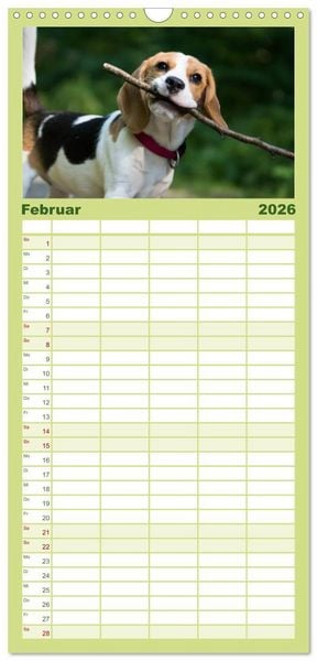 Produktbild: Familienplaner 2026 - Beaglebabys auf Entdeckungstour mit 5 Spalten (Wandkalender, 21 x 45 cm) CALVENDO