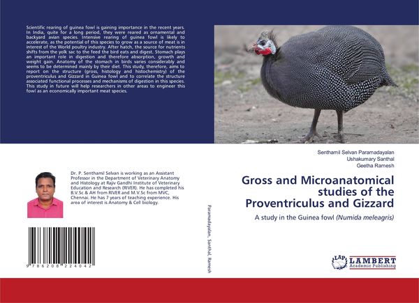 Produktbild: Gross and Microanatomical studies of the Proventriculus and Gizzard