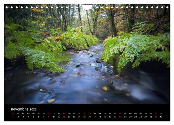 Produktbild: BROCELIANDE, la for&ecirc;t (Calendrier mural 2026 DIN A4 vertical), CALVENDO calendrier mensuel