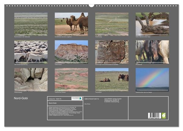 Produktbild: Nord-Gobi (Wandkalender 2026 DIN A2 quer), CALVENDO Monatskalender