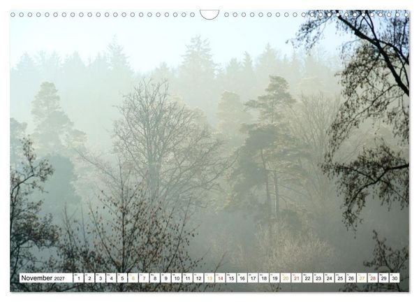 Produktbild: 12 Monate Natur (Wandkalender 2027 DIN A3 quer), CALVENDO Monatskalender
