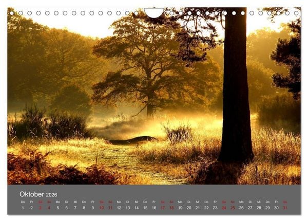 Produktbild: Wahner Heide - Aussichten und Begegnungen (Wandkalender 2026 DIN A4 quer), CALVENDO Monatskalender