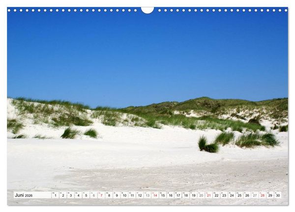 Produktbild: Amrum &ndash; Trauminsel in der Nordsee (Wandkalender 2026 DIN A3 quer), CALVENDO Monatskalender