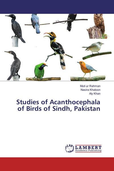 Produktbild: Studies of Acanthocephala of Birds of Sindh, Pakistan