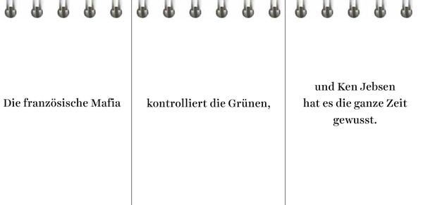 Produktbild: Der Desinformator