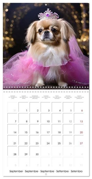 Produktbild: Grand Divas of the Dog World (Wall Calendar 2026 12 &times; 12 Inch) CALVENDO 12 Month Wall Calendar