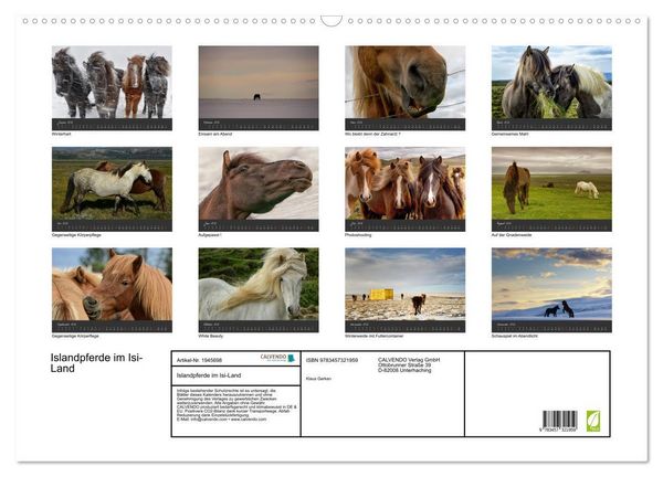 Produktbild: Islandpferde im Isi-Land (Wandkalender 2026 DIN A2 quer), CALVENDO Monatskalender