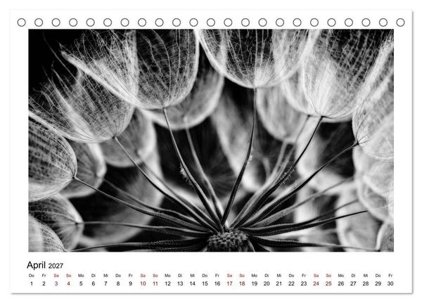 Produktbild: Die grafische Sch&ouml;nheit der Pflanzen &ndash; Schwarz-Wei&szlig; (Tischkalender 2027 DIN A5 quer), CALVENDO Monatskalender