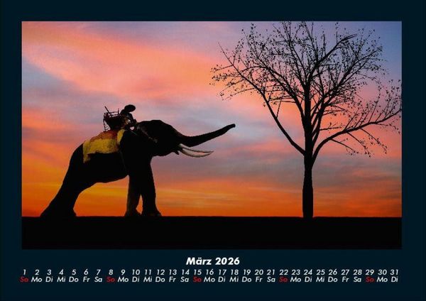 Produktbild: Der Elefantenkalender 2026 Fotokalender DIN A4