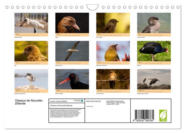 Produktbild: Oiseaux de Nouvelle-Z&eacute;lande (Calendrier mural 2026 DIN A4 vertical), CALVENDO calendrier mensuel