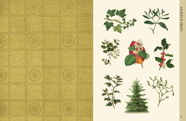 Produktbild: Botanical Art to Cut out and Collage