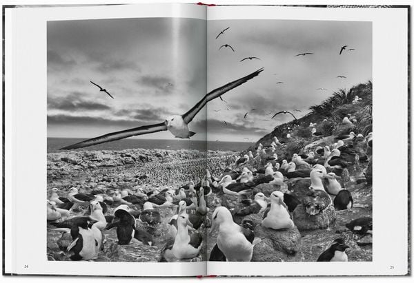 Produktbild: Sebasti&atilde;o Salgado