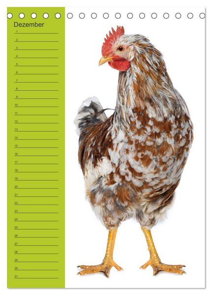 Produktbild: Kunterbunte H&uuml;hner Truppe (Tischkalender 2026 DIN A5 hoch), CALVENDO Monatskalender