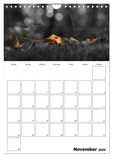 Produktbild: schwarz/wei&szlig; trifft farbe - DEIN TERMINKALENDER / Planer (Wandkalender 2026 DIN A4 hoch), CALVENDO Monatskalender