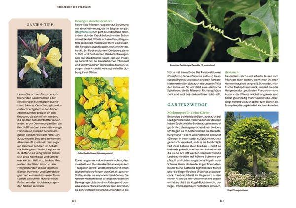 Produktbild: Gartenbotanik