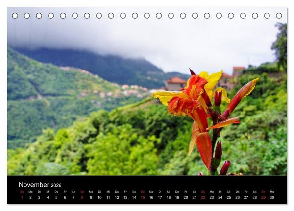 Produktbild: Madeira die Gr&uuml;ne Insel (Tischkalender 2026 DIN A5 quer), CALVENDO Monatskalender