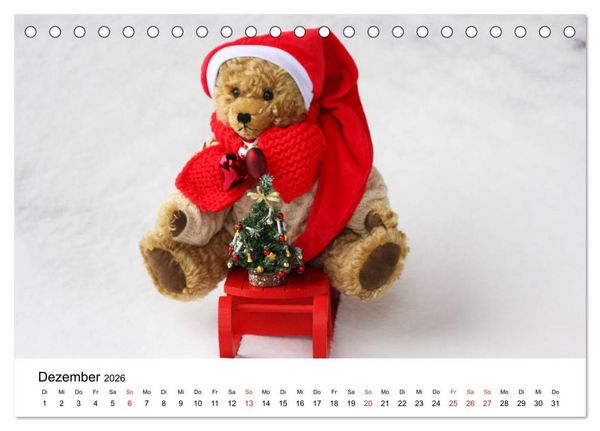 Produktbild: Teddys...jeder liebt sie (Tischkalender 2026 DIN A5 quer), CALVENDO Monatskalender