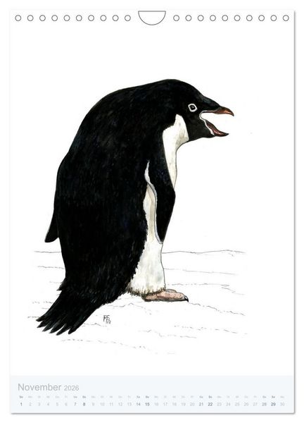 Produktbild: Pinguine - 13 Illustrationen (Wandkalender 2026 DIN A4 hoch), CALVENDO Monatskalender