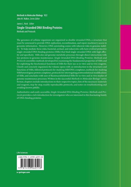 Produktbild: Single-Stranded DNA Binding Proteins