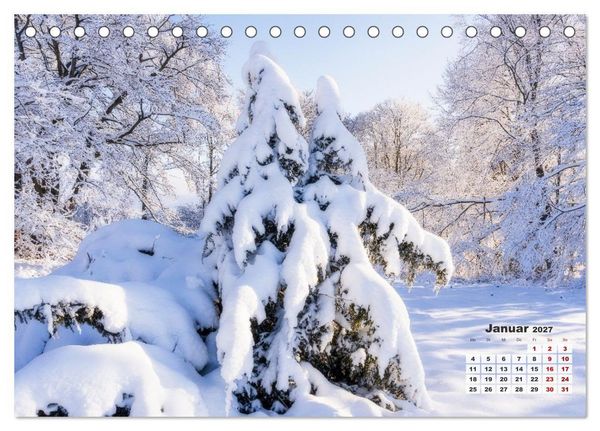 Produktbild: Waldspazierg&auml;nge: Entspannen - Kraft tanken - Besinnen auf sich selbst (Tischkalender 2027 DIN A5 quer), CALVENDO Monatskalender