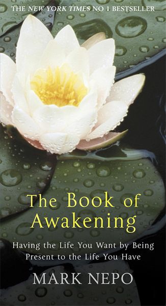Produktbild: The Book of Awakening