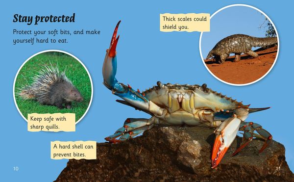 Produktbild: How Not to Be Eaten