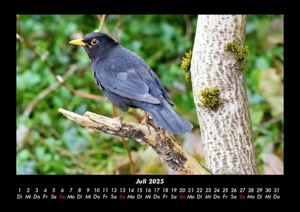 Produktbild: Bilder aus der Natur 2025 Fotokalender DIN A3