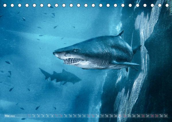 Produktbild: Das Blau der Tiefe (Tischkalender 2022 DIN A5 quer)
