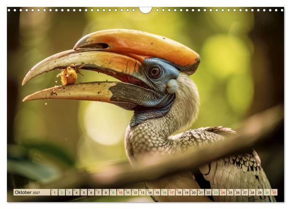 Produktbild: Nashornv&ouml;gel (Wandkalender 2027 DIN A3 quer), CALVENDO Monatskalender
