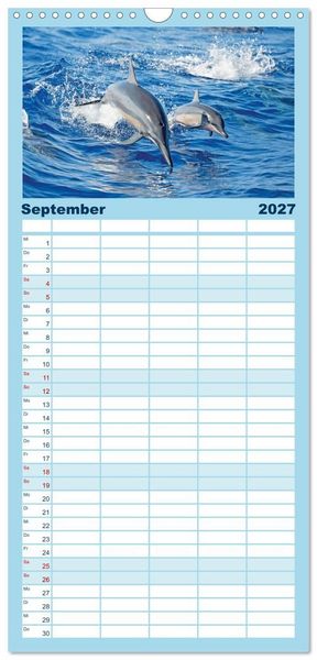 Produktbild: Familienplaner 2027 - Delfine: Elegante Wellenreiter mit 5 Spalten (Wandkalender, 21 x 45 cm) CALVENDO