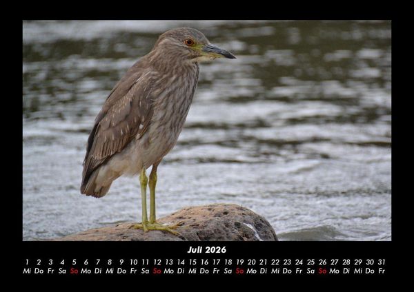 Produktbild: Vogelparadies 2026 Fotokalender DIN A3