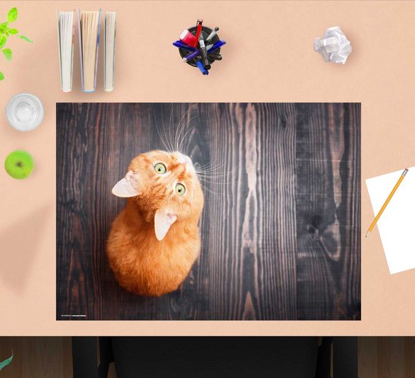 Produktbild: Cover-your-desk Schreibtischunterlage f&uuml;r Kinder und Erwachsene Orange Katze, aus hochwertigem Vinyl , 60 x 40 cm