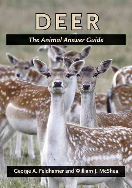 Produktbild: Deer