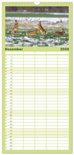 Produktbild: Familienplaner 2026 - Feldhasen in H&ouml;chstform mit 5 Spalten (Wandkalender, 21 x 45 cm) CALVENDO