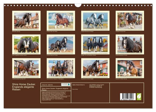 Produktbild: Shire Horse Zauber. Englands elegante Riesen (Wandkalender 2027 DIN A3 quer), CALVENDO Monatskalender