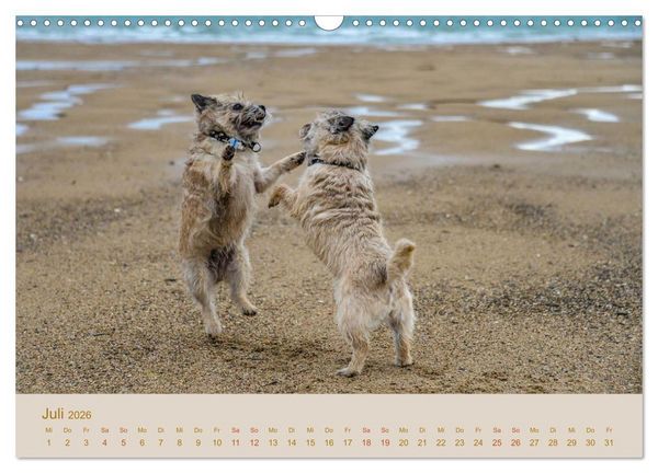 Produktbild: Cairns Forever (Wandkalender 2026 DIN A3 quer), CALVENDO Monatskalender