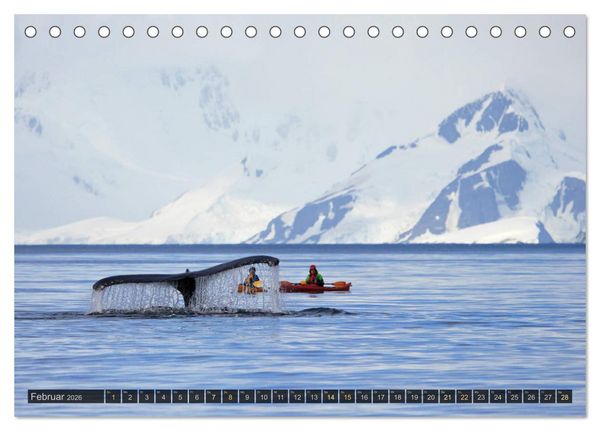 Produktbild: Antarktis - viaje.ch (Tischkalender 2026 DIN A5 quer), CALVENDO Monatskalender