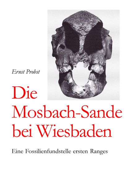 Produktbild: Die Mosbach-Sande bei Wiesbaden