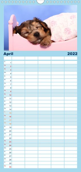 Produktbild: Familienplaner S&uuml;&szlig;e Tr&auml;ume 2022 - schlafende Hundewelpen (Wandkalender 2022 , 21 cm x 45 cm, hoch)