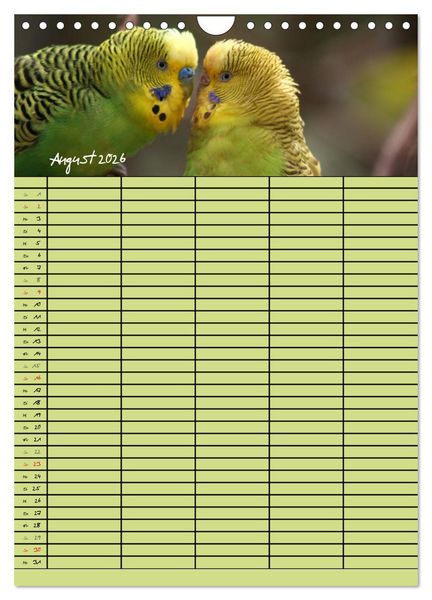 Produktbild: Der Wellensittich-Familienplaner (Wandkalender 2026 DIN A4 hoch), CALVENDO Monatskalender
