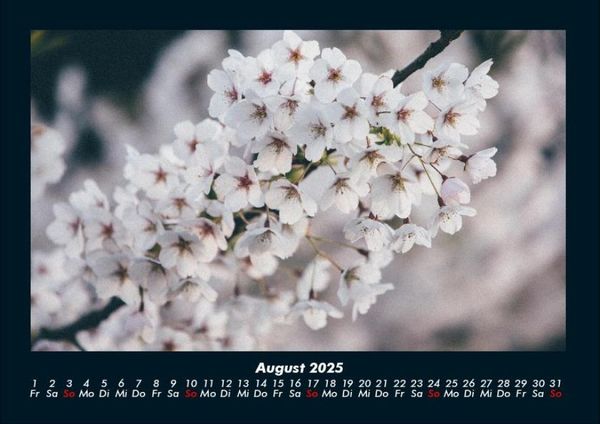 Produktbild: Blumentr&auml;ume 2025 Fotokalender DIN A4