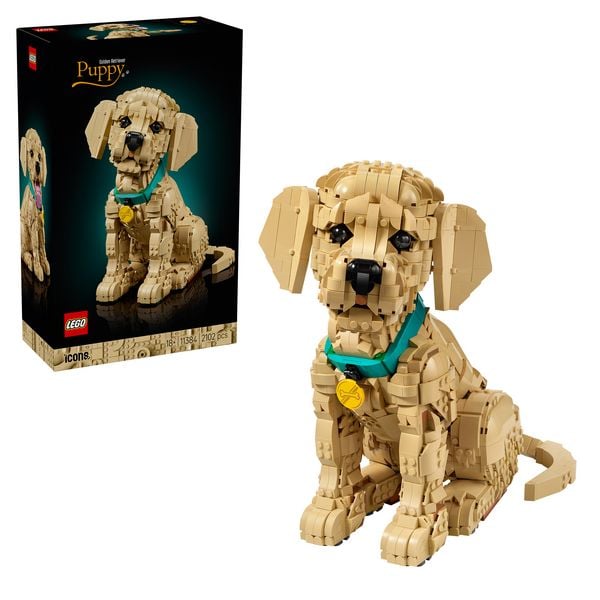 LEGO Icons 11384 Golden Retriever Welpe, Modellbau mit Hundefigur